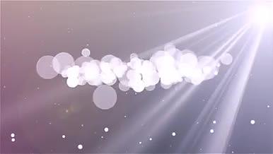 唯美大气粒子飞舞婚礼图像展示AE模板视频的预览图